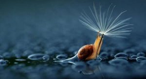 Wat vijf minuten stilte voor je hersenen kunnen doen