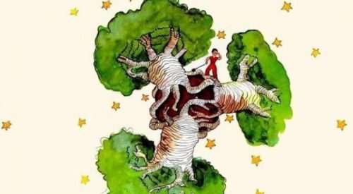 Een baobab in het hart - een reflectie op "De kleine prins"