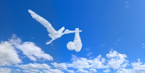 Kapitein Fantastisch: een andere manier van opvoeden