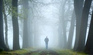 Welke plaats heeft de bostest in de psychoanalyse?