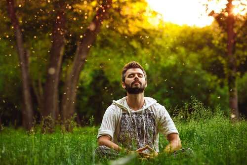 Man die mediteert in een bos, maar wat zegt de wetenschap over meditatie?
