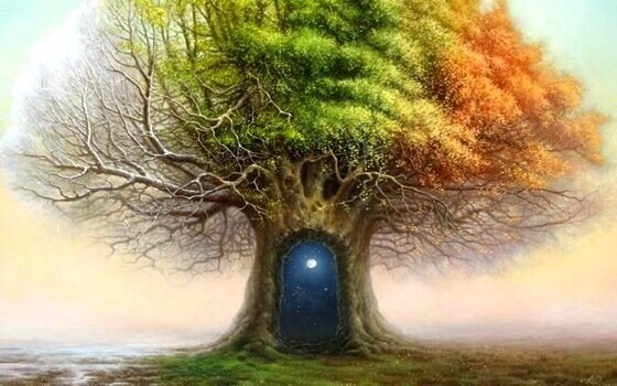 Toepassing van de bostest