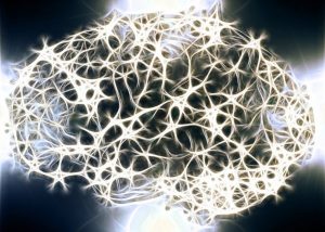 Waarom is de witte stof in ons zenuwstelsel zo belangrijk?