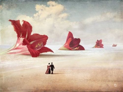 Twee mensen die door de woestijn lopen langs reusachtige bloemen die de evolutie van romantische liefde symboliseren