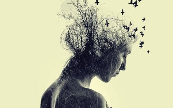 Uitspraak van Seneca over haat