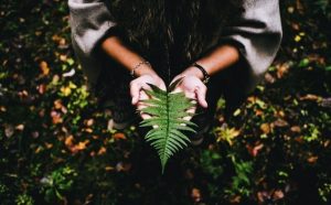 Het vergt vrede en geduld om de zin van het leven te vinden