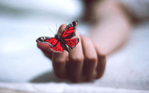 7 boeken die helpen om een depressie te overwinnen