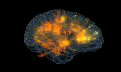 Neuronen