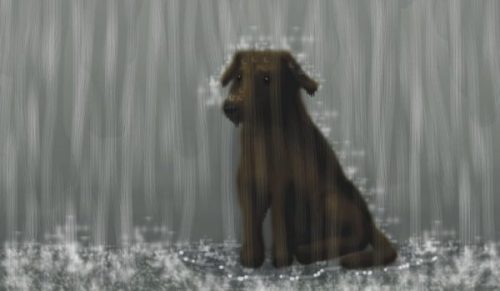 Het nieuwsgierige hondje ontmoet iemand