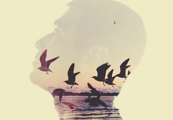 Man met vogels op de achtergrond