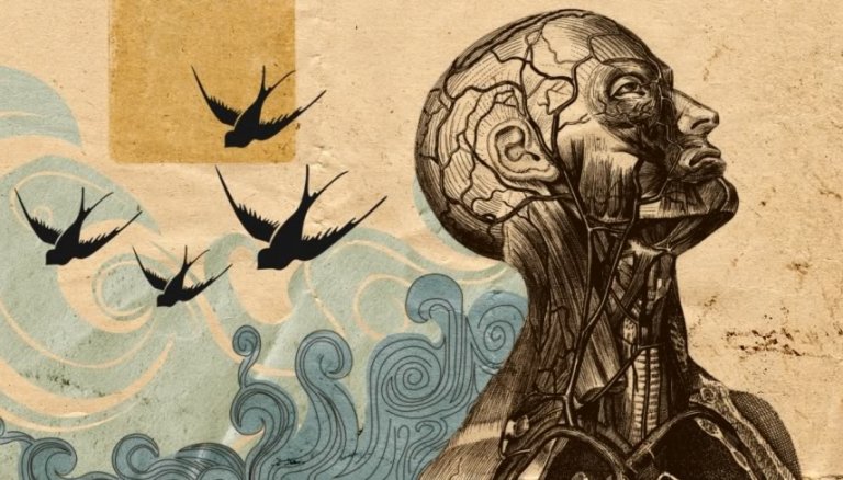 Humanistische psychologie geïllustreerd