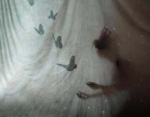 Vijf lessen die we vergeten naarmate we ouder worden