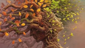 Je cognitieve reserve: het resultaat van hersenevolutie