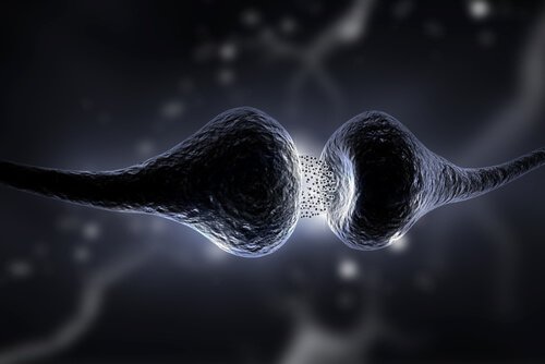 De invloed van neurotransmitters op de synapsen