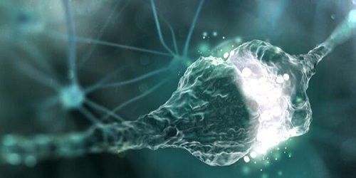 Wat is de synapsspleet en hoe werkt hij precies?