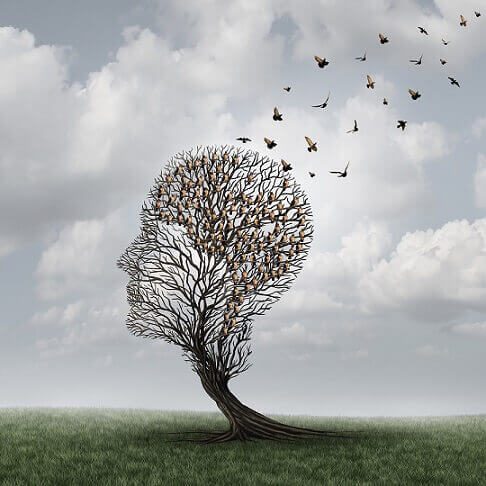 Kale boom waar vogels uit vliegen