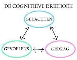 De cognitieve driehoek