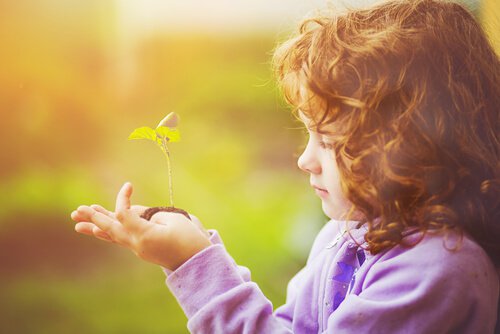 Groeiende plant in de hand van een kind