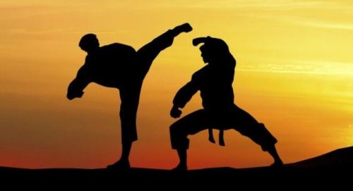 Martial arts in de praktijk