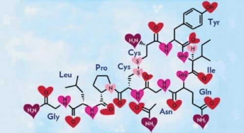 De chemische samenstelling van oxytocine