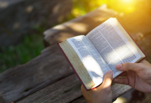 Buiten een boek lezen