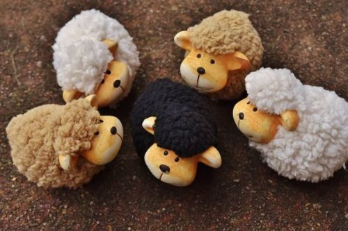 Vijf schaapjes met een zwart schaap