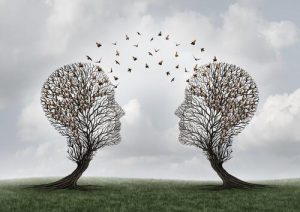 Wat is sociale cognitie precies?