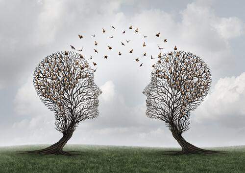 Wat is sociale cognitie precies?