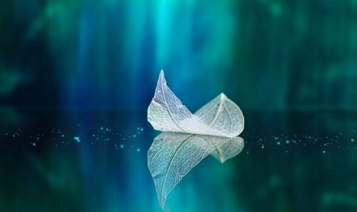 Blad in water