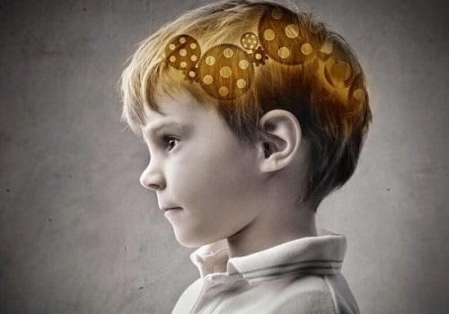 De delen van de prefrontale cortex