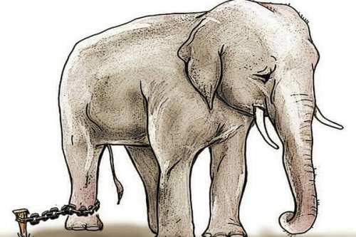De geketende olifant