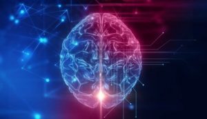 De orbitofrontale cortex: de basis van ons sociaal gedrag