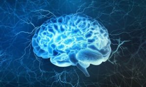 De prefrontale cortex, één van de interessantste delen van de hersenen