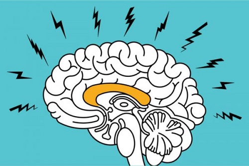 De rol van de amygdala