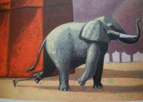 We vertellen je het bijzondere verhaal van de geketende olifant
