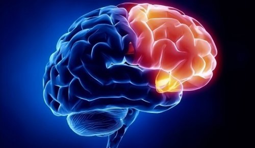 Het verwerken van sociale emoties