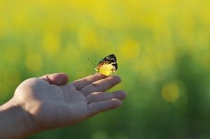 Hoe kan je op de juiste manier cycli afsluiten?
