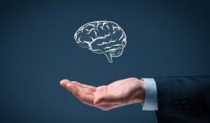 Ken jij deze zes regels van eenvoudige intelligentie?