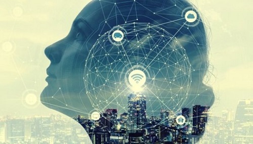 Wat doet de prefrontale cortex