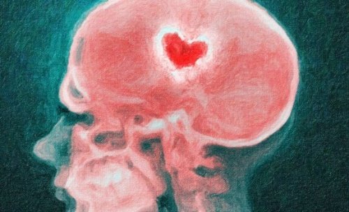 Wat gebeurt er in de hersenen bij een relatiebreuk?