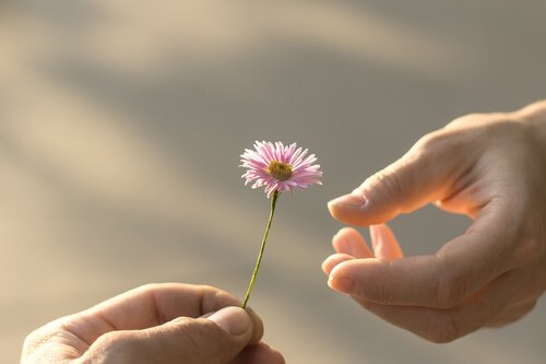 Man geeft bloemetje aan een ander