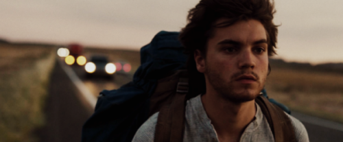Into the wild