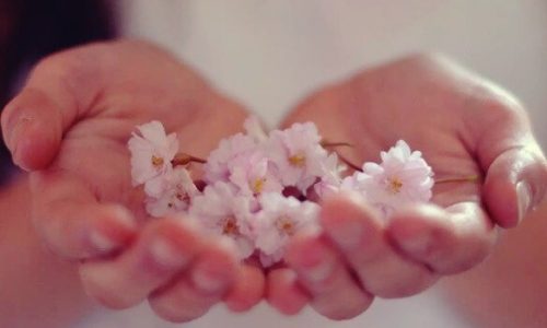 Bloemen in iemands hand