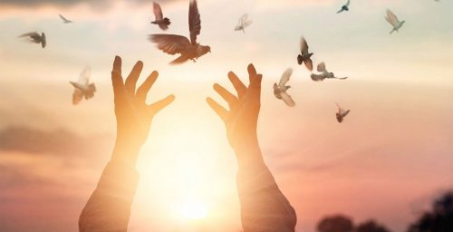 Man laat vogels vrij