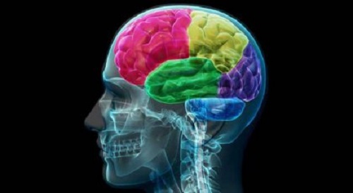 De hersenen van een verslaafde: de anatomie van dwang en behoefte