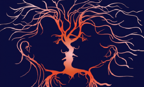 Emotionele intelligentie heelt wonden