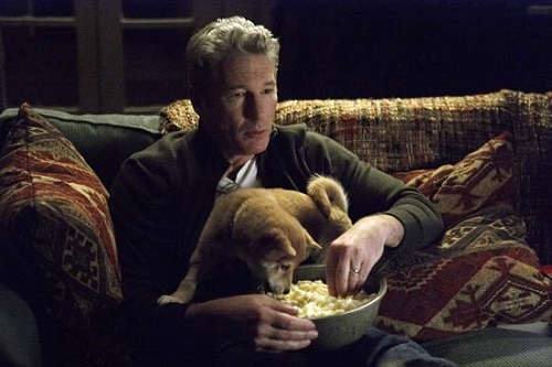 Hachi, A Dog's Tale