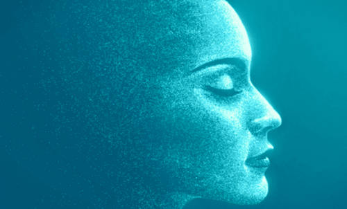 Intuïtie en instinct, tussen biologie en waarneming