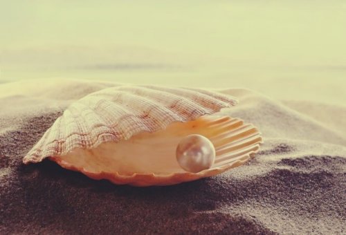 Parels zijn zeldzaam