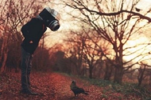 Sommige mensen geven hun fouten niet toe